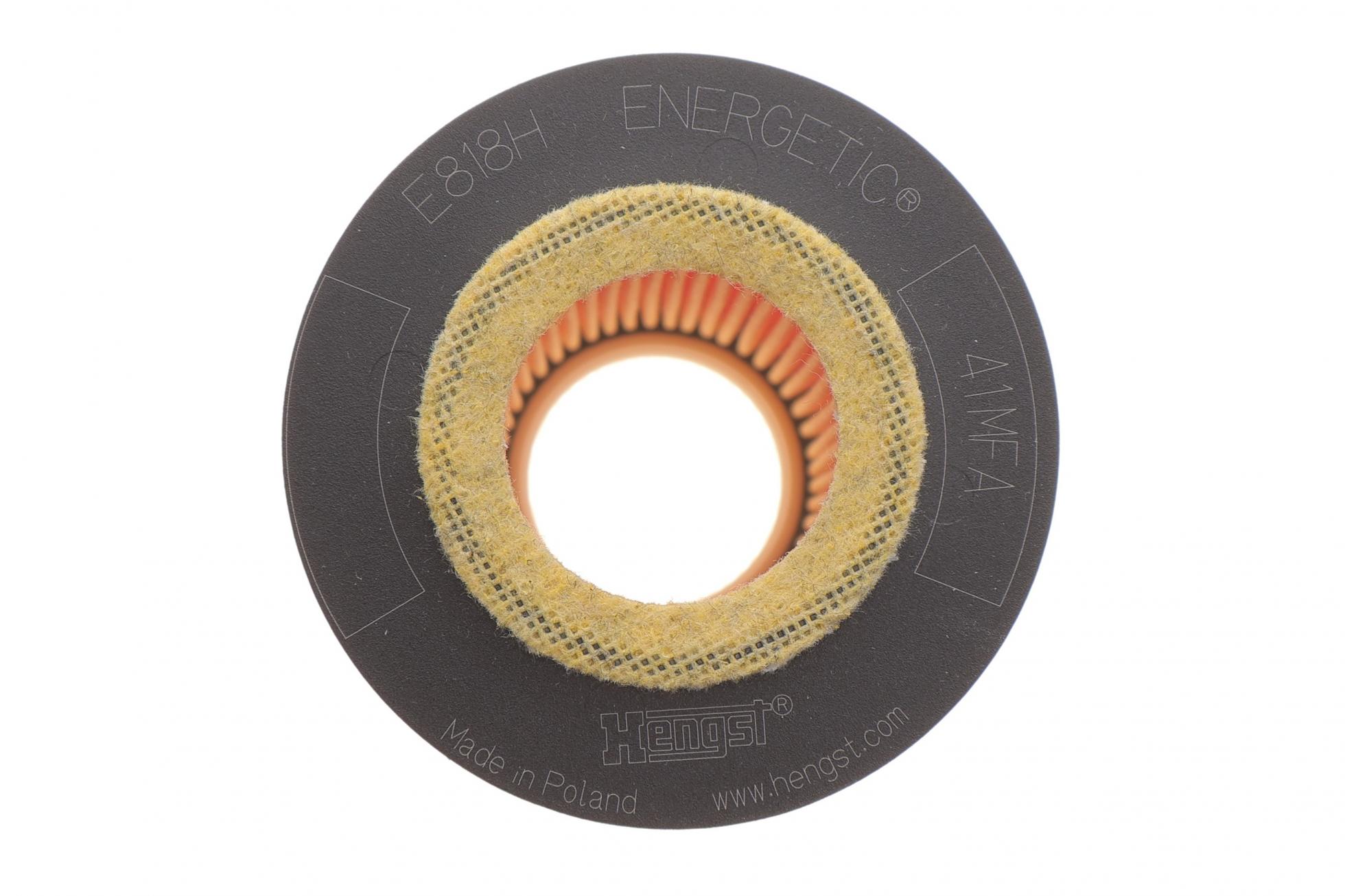 E818HD238 HENGST FILTER